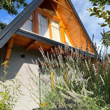 Petrovaradin Chalet Novi Sad Esterno foto