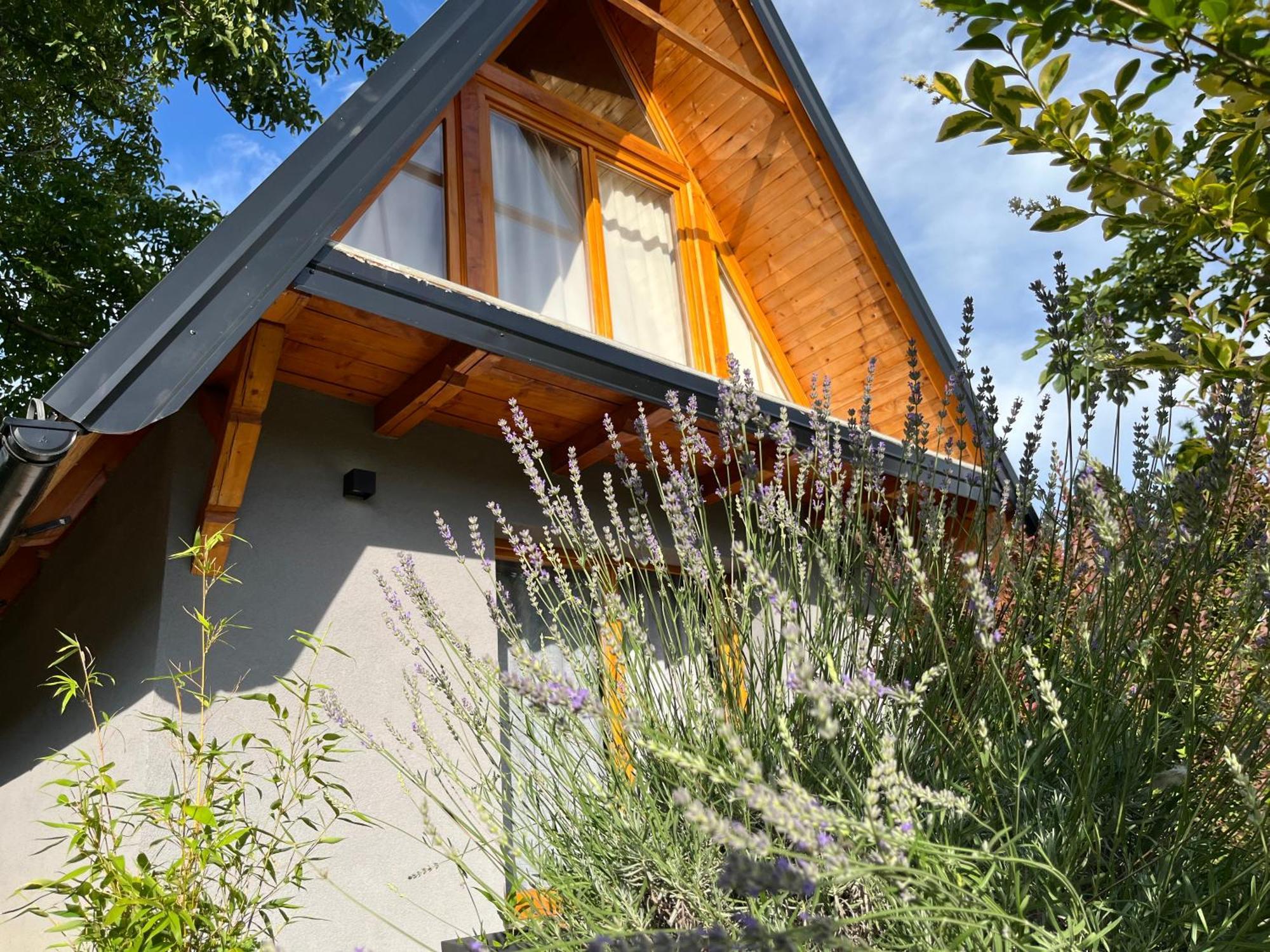 Petrovaradin Chalet Novi Sad Esterno foto